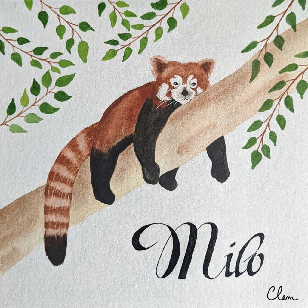 Aquarelle peinte à la main d'un panda roux qui dort sur une branche. Calligraphie du prénom Milo.